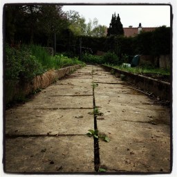 La construction du potager