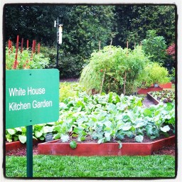 Les gants de Michelle Obama