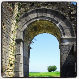 La chasse aux cistes