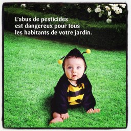 La piscine à limaçes