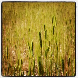 Une crème pour l&rsquo;hiver