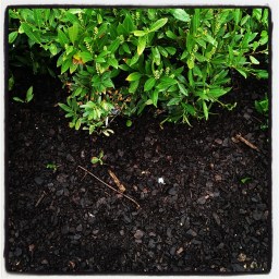 L&rsquo;art du fond noir