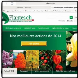 Les surprises d&rsquo;internet