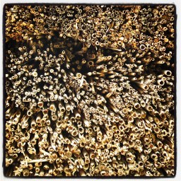 La richesse de la paille