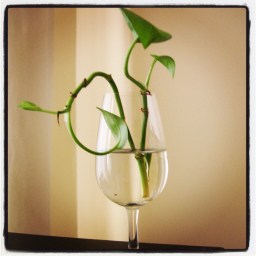 Le couteau de ma grand-mère