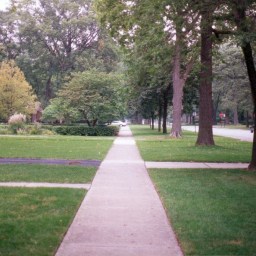 Mon héros Michel Pollan à TED