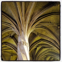 Les fleurs des cathédrales