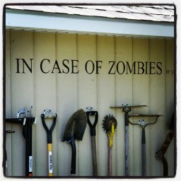 Horreur dans la cabane