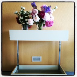 La beauté éphémère des bouquets