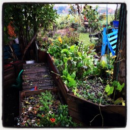 les plantes de Berlin