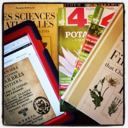 La taille d&rsquo;autrefois