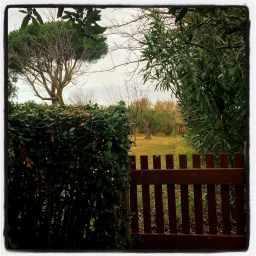 Le jardin de mon enfance