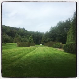 Dans le parc de Barberêche