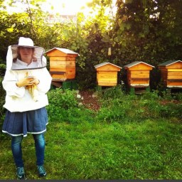 le monde des abeilles P1