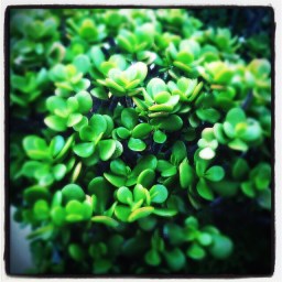 les réservoirs d&rsquo;eau