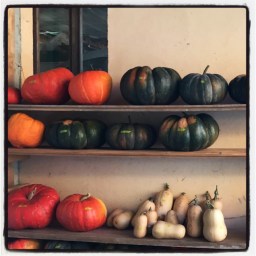 le carrosse de Cendrillon