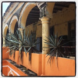 le goût des westerns