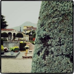 J&rsquo;ai dansé sur les tombes