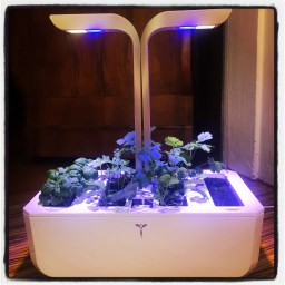 Des plantes et des robots