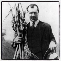 Pour l&rsquo;amour de la diversité